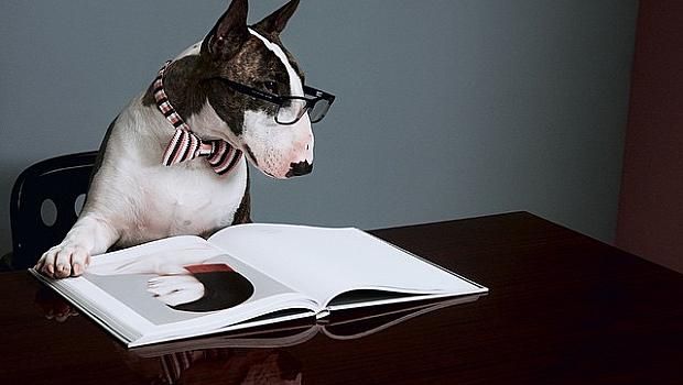 Уникално: кучето на Марк Джейкъбс чете книги! С очила!