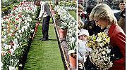 В Лондон създадоха най-красивата градина в памет на Даяна