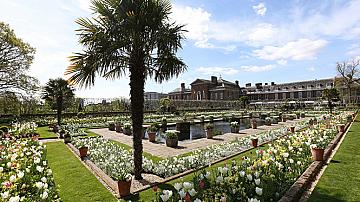 "Бялата градина" в Лондон в чест на Даяна Спенсър