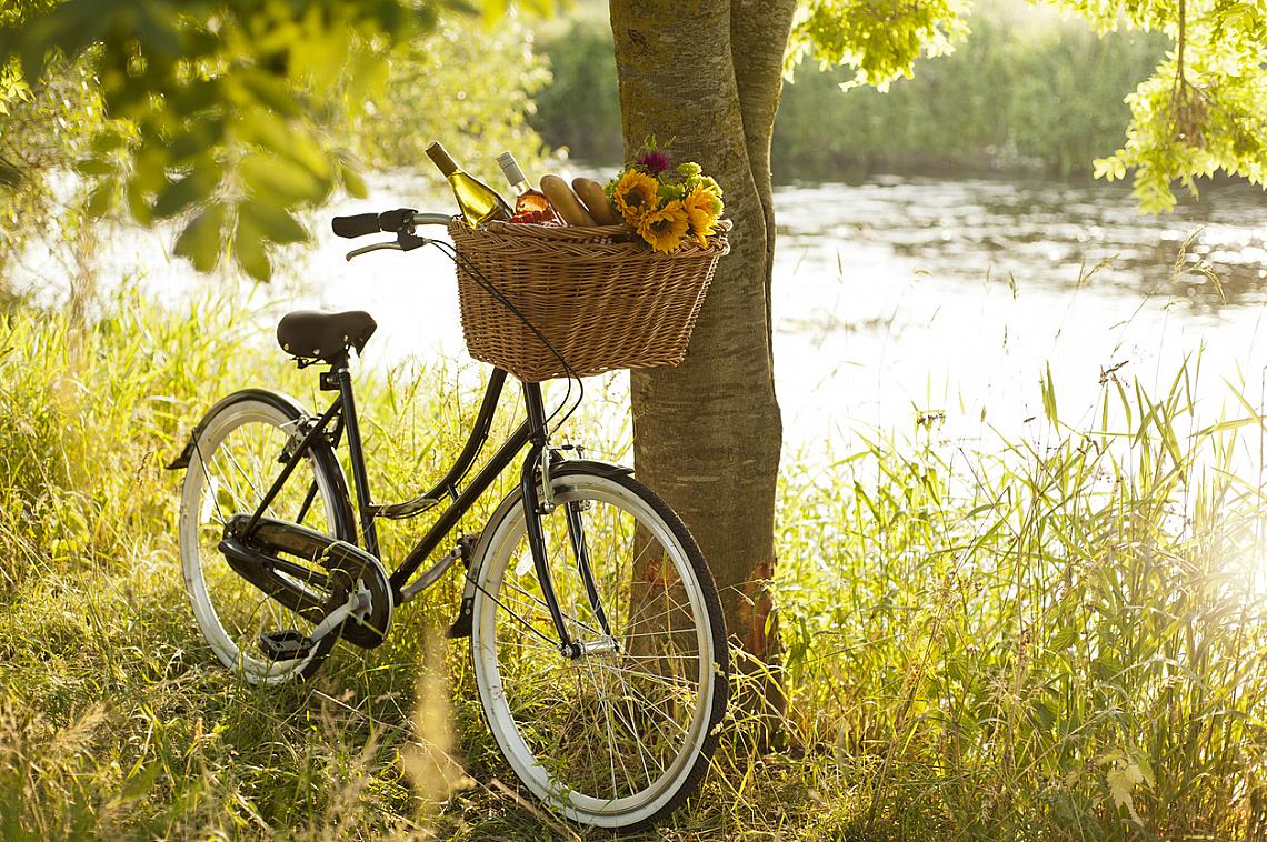 © iStock, Разходете се с колело до някое любимо място...