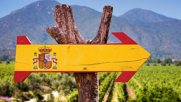 Виното и неговите топ дестинации: Испания