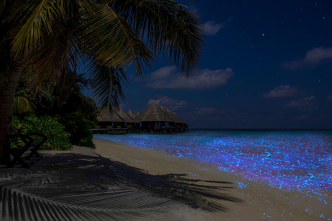 &lt;p&gt;Малдиви&lt;/p&gt;&lt;p&gt;Светещите брегове са гледка, в която ще се влюбите.&lt;/p&gt;