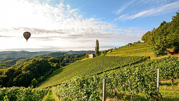 Виното и неговите топ дестинации: Италия