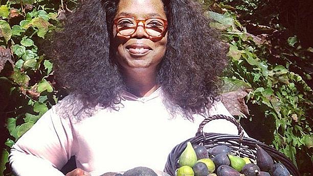Как авокадото стана модерен плод