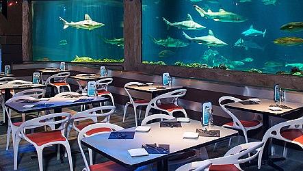 Топ 10 впечатляващи подводни ресторанти